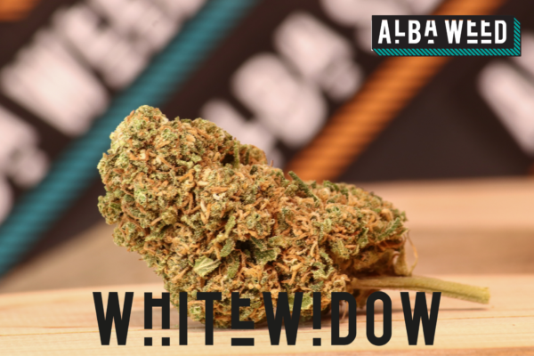 WHITE WIDOW CBD WEED