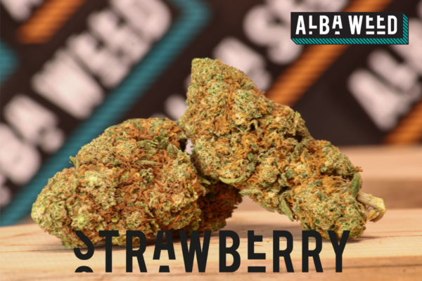 STRAWBERRY CBD WEED - immagine 2