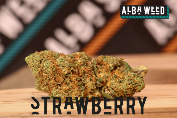 STRAWBERRY CBD WEED